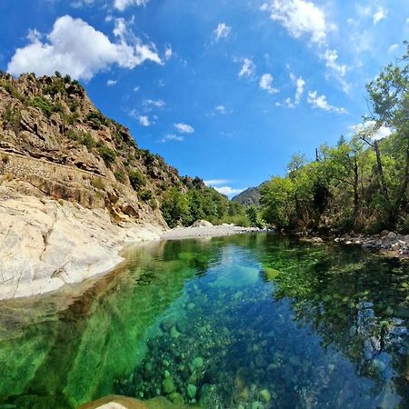 Domaine U Filanciu - Casa Ghjulia - Centru Di Corsica Villa Moltifao Eksteriør billede