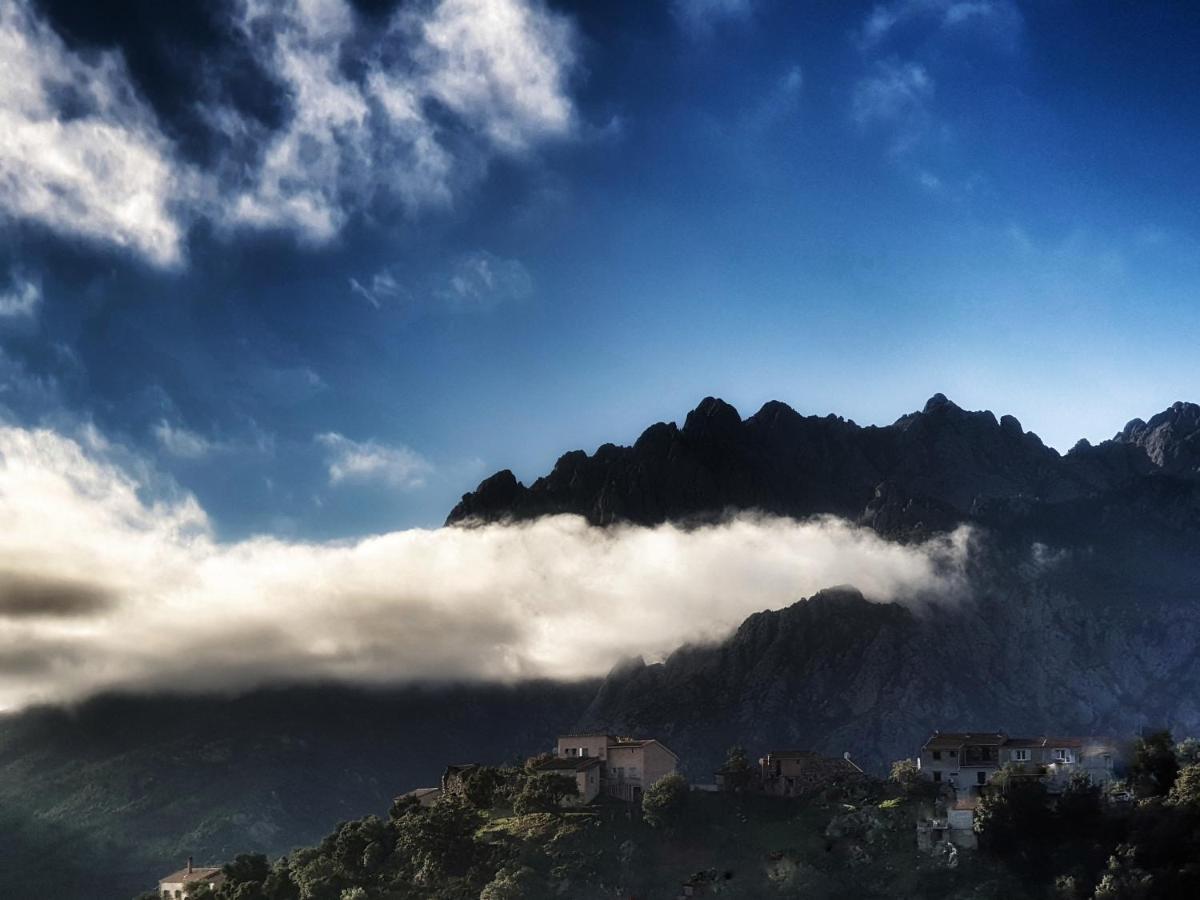Domaine U Filanciu - Casa Ghjulia - Centru Di Corsica Villa Moltifao Eksteriør billede
