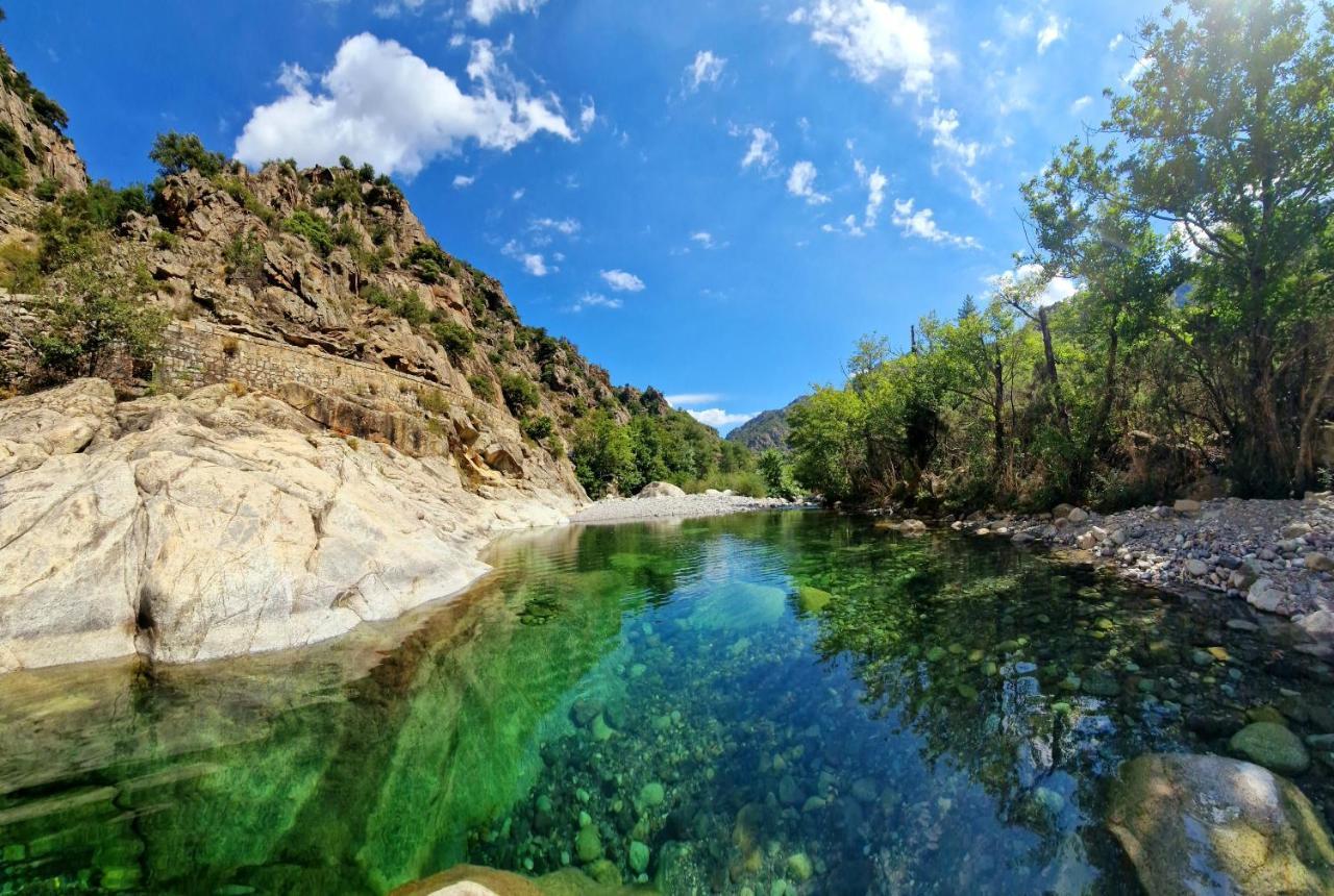 Domaine U Filanciu - Casa Ghjulia - Centru Di Corsica Villa Moltifao Eksteriør billede